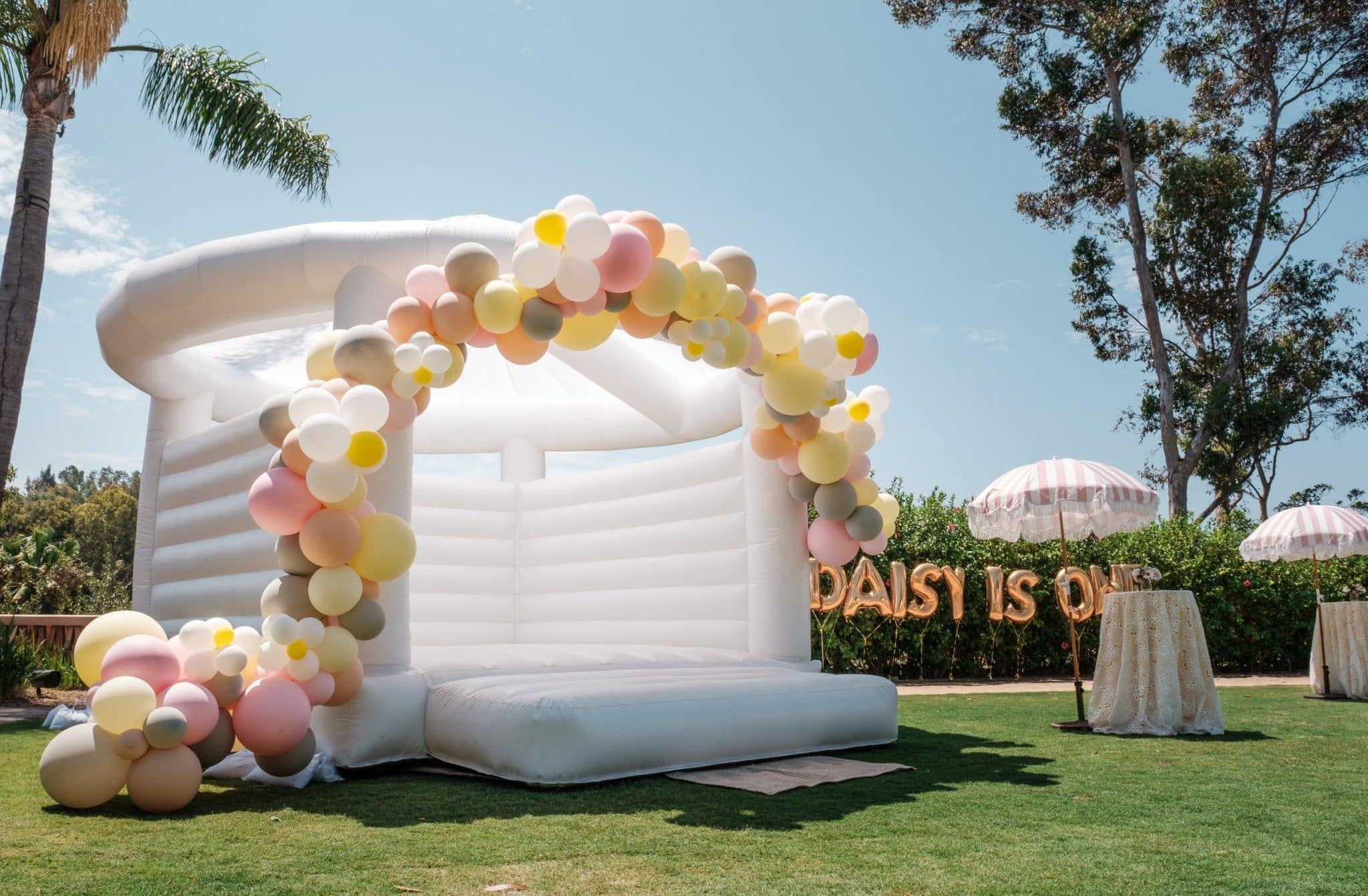 Balloon decor and backdrop